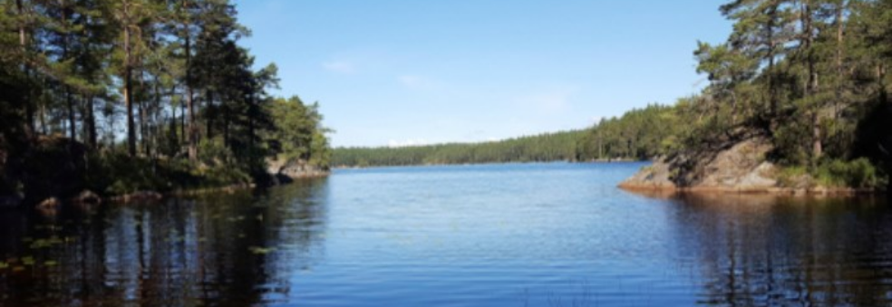 Orienteringsløp